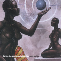 Fat Jon - Wave Motion (2xLP)